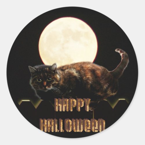 Halloween Cat  a Full Moon Classic Round Sticker