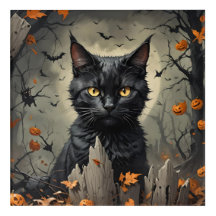 Halloween Cat