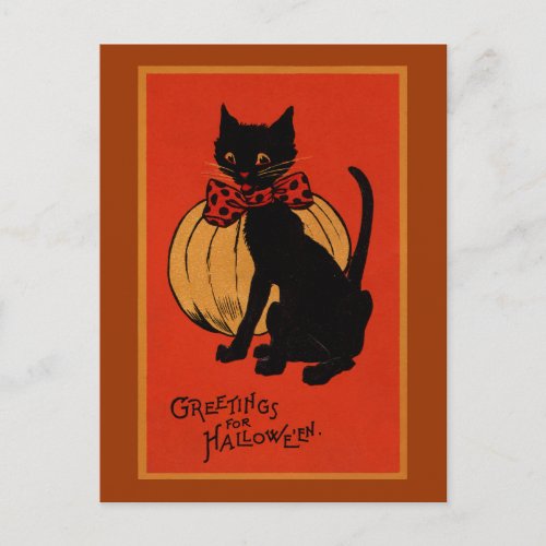 Halloween Cat and Pumpkin Postcard
