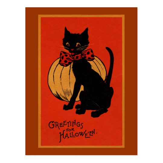 Halloween Cat and Pumpkin Postcard