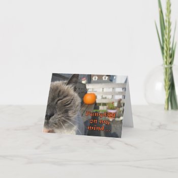 Halloween Cat Card by CrazyTabby at Zazzle