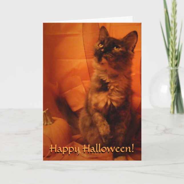 Halloween Cat Card (Front)
