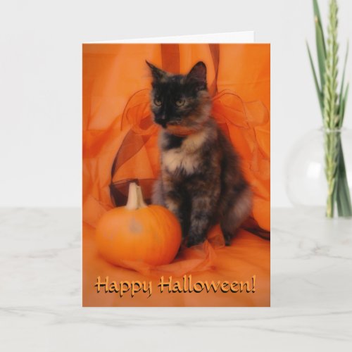 Halloween Cat Card