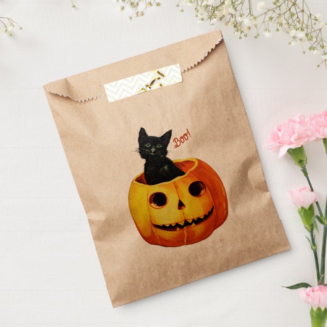 Halloween Cat in Pumpkin Favor Bag (Sealed)