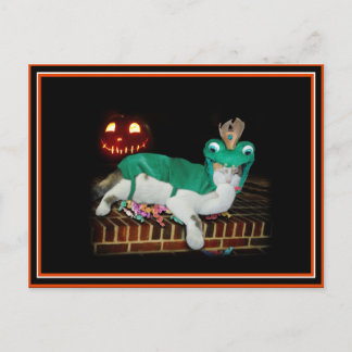 Halloween Cat is Gettin' The Goods! Postcard
