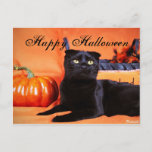 Halloween Cat Postcard at Zazzle