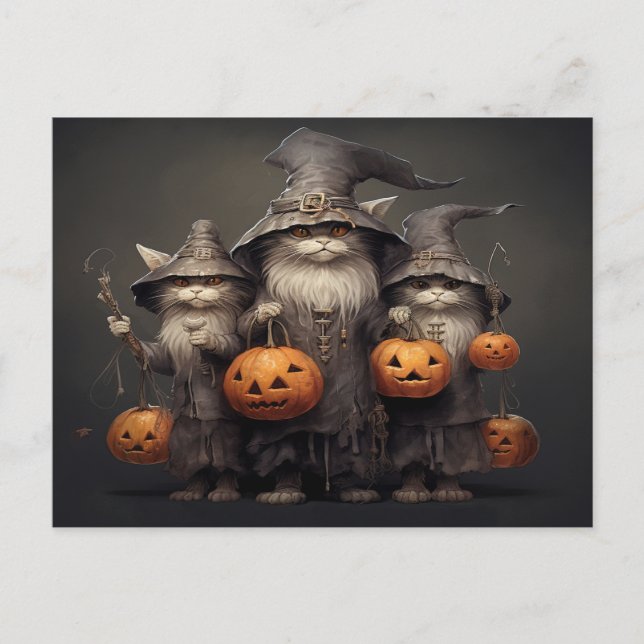 Halloween Cat Postcard (Front)