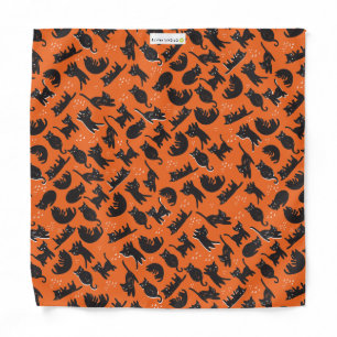 Halloween Cat Print Bandana