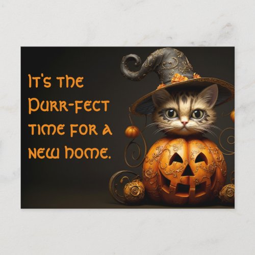 Halloween Cat Real Estate Marketing Postcard