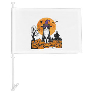 Halloween Cat Witch Pumpkin Vintage Spooky_1 Car Flag