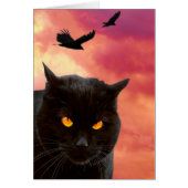 Halloween Cat's Face (Front)