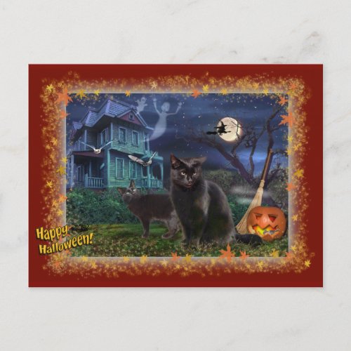 Halloween Cats Postcard