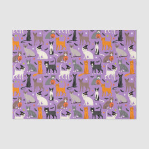Halloween Cats Tissue Paper