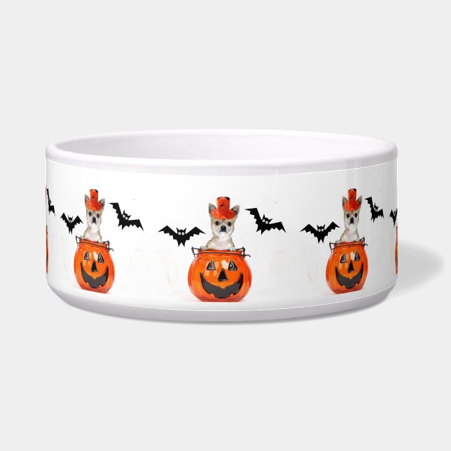Halloween chihuahua dog bowl (Front)