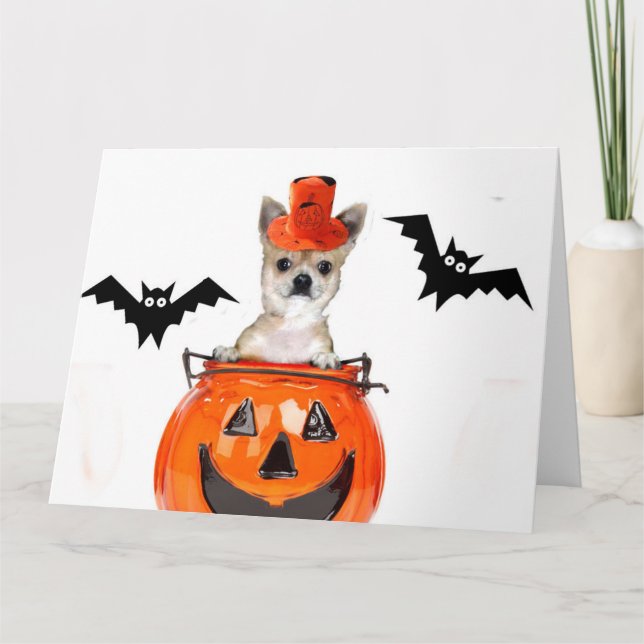Halloween Chihuahua dog Card (Front)