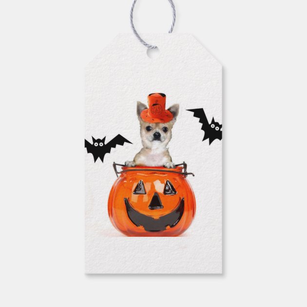 Halloween Chihuahua Dog Gift Tags