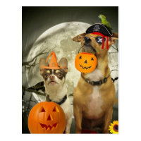 Halloween chihuahua dogs postcard