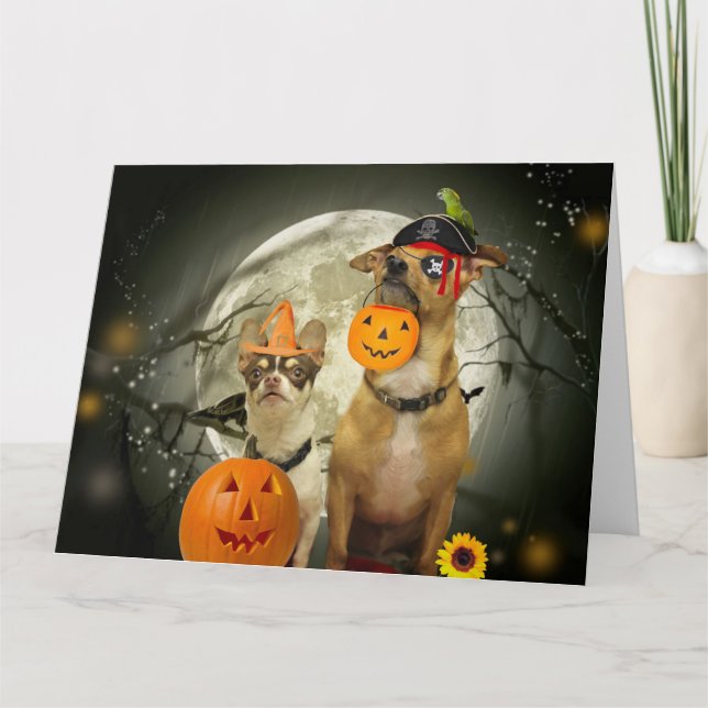 Halloween chihuahuas card (Front)