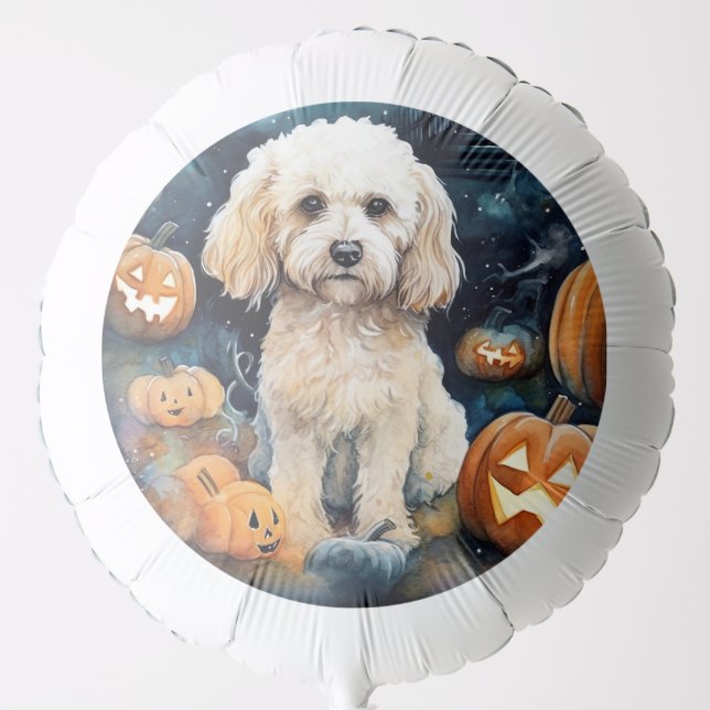 Halloween Cockapoo With Pumpkins Scary  Balloon (Front)