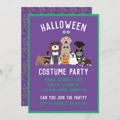 Halloween Costume Party Dogs Black Cat Invitation