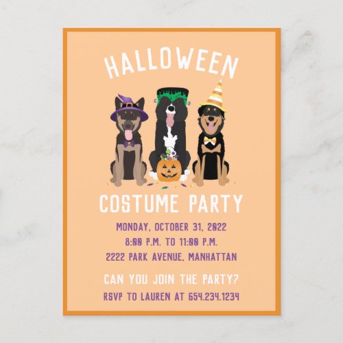 Halloween Costume Party Dogs Invitation Postcard