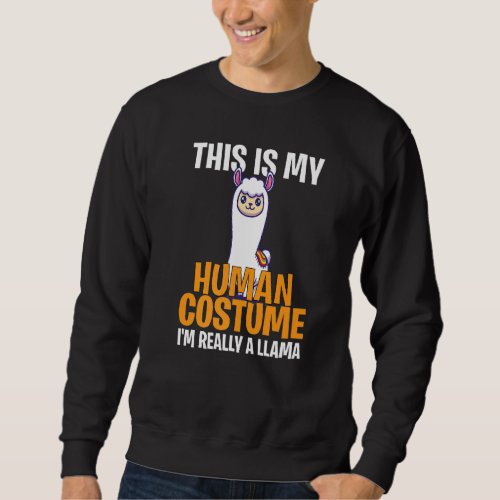 Halloween Costume This My Human Costume Im Really Sweatshirt