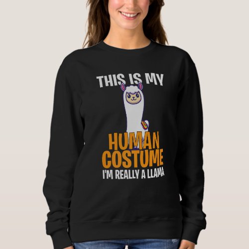 Halloween Costume This My Human Costume Im Really Sweatshirt