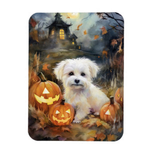 Halloween Coton De Tulear With Pumpkins Scary Magnet