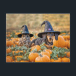 Halloween Dachshund and Owl Funny Holiday Postcard<br><div class="desc">A fun and funny Halloween postcard of an owl and dachshund puppy with witch hats on in a pumpkin patch.  Happy Owl-o-weenie is written on the other side.  Cute and humorous too!</div>