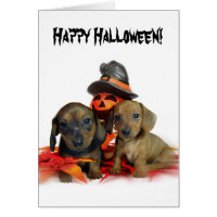 Halloween Dachshund puppies Card