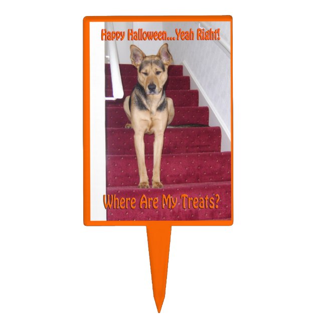 Halloween Dog and No Treats Cake Topper (Front)