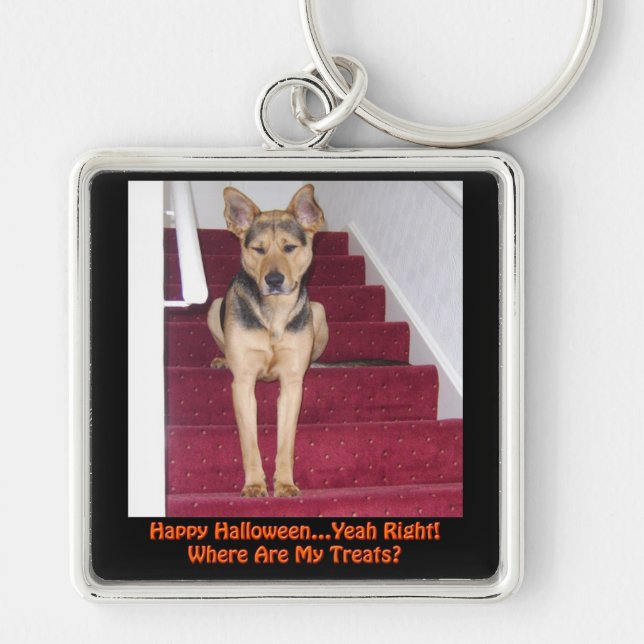 Halloween Dog and No Treats Keychain (Front)