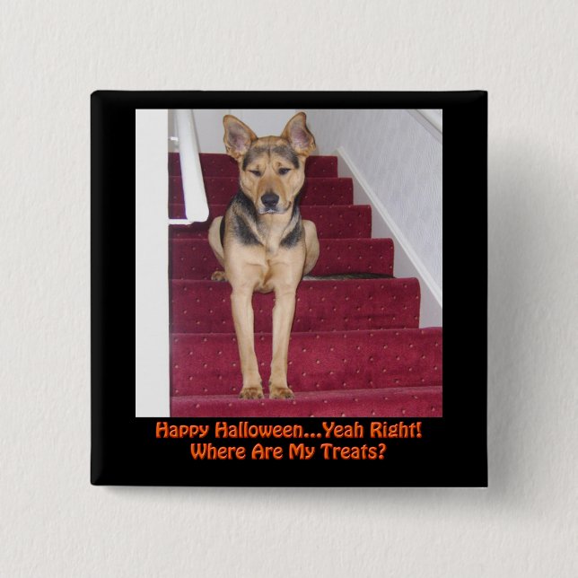 Halloween Dog and No Treats Pinback Button (Front)