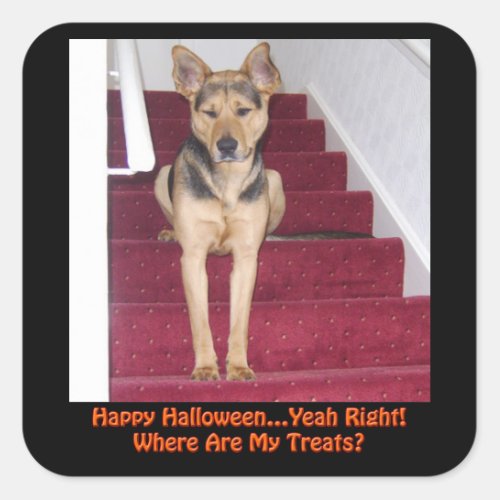 Halloween Dog and No Treats Square Sticker