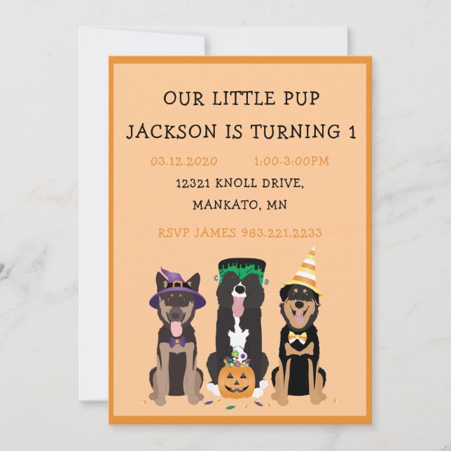 Halloween Dog Birthday Party Invitation (Front)