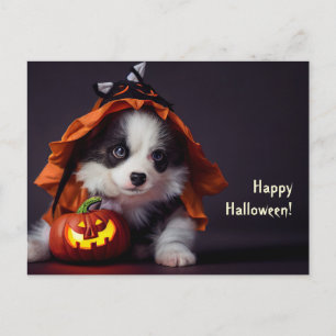Halloween dog. Puppy with pumpkins. Cute. Postcard