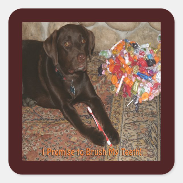 Halloween Dog with Sweet Tooth Square Sticker (Front)