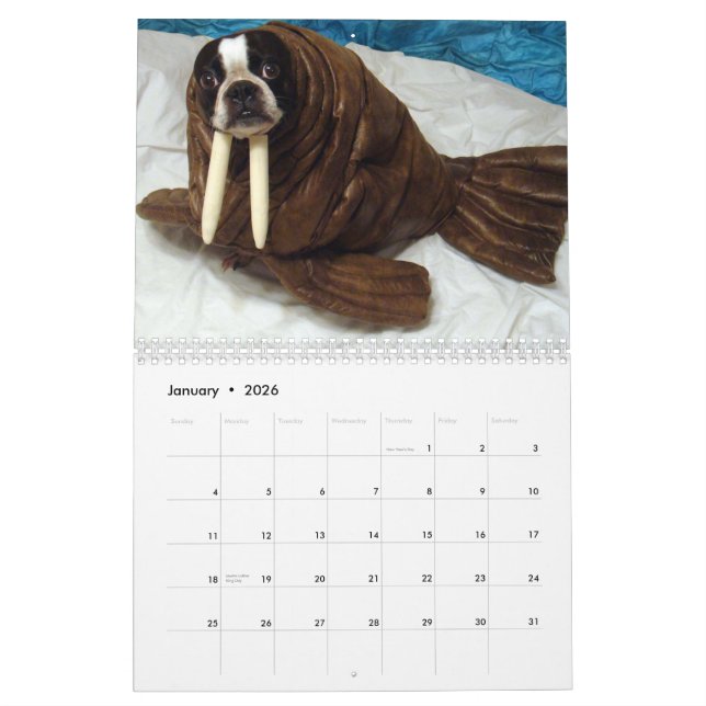 Halloween Echo 2013 Calendar (Jan 2026)