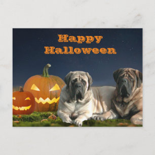 Halloween English Mastiff Happy Halloween Postcard