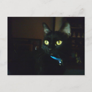 Halloween Eyes Postcard