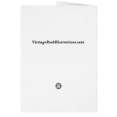 Hallowe'en Fairies by Anne Anderson (Back)