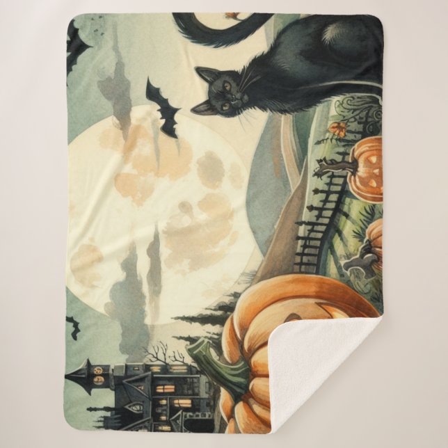 Halloween/Fall/Autumn/pumpkin/cat Sherpa Blanket (Front)