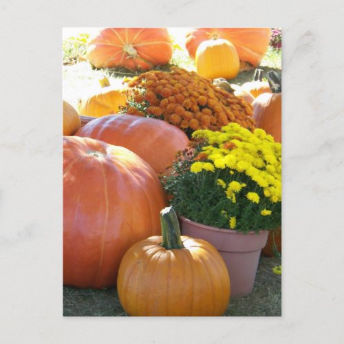 Halloween Fall Scene Card