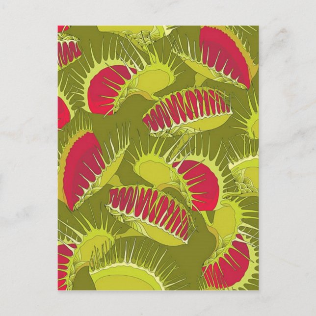 halloween fly trap postcard (Front)