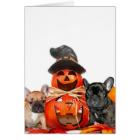 Halloween French Bulldogs Card