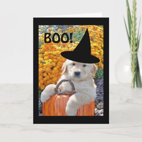 Halloween Funny Puppy Witch Greeting Card