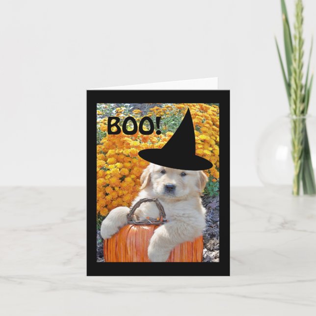 Halloween Funny Puppy Witch Note Card (Front)