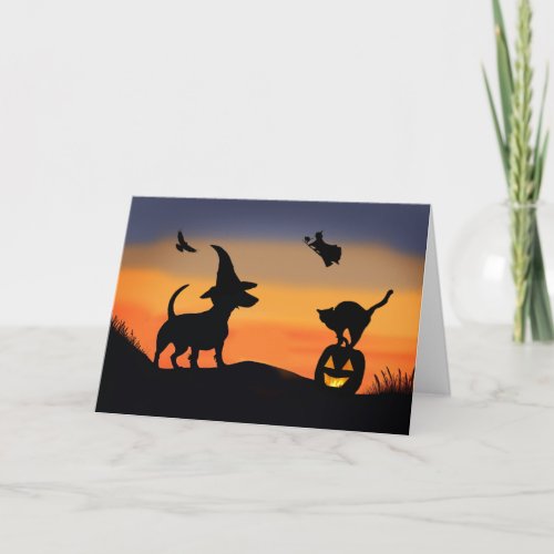 Halloween Funny with Dachshund Dog Witch Cat Raven Card