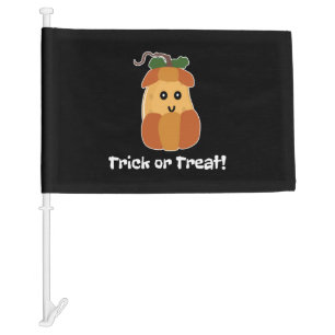 halloween funnyTrick or Treat Halloween - Car Flag