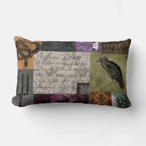 Halloween Gothic Medieval Spooky Apothecary Art Lumbar Pillow
